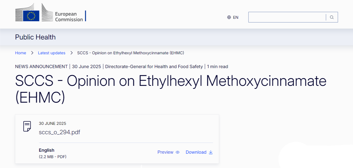 EU SCCS,EHMC,安全性評