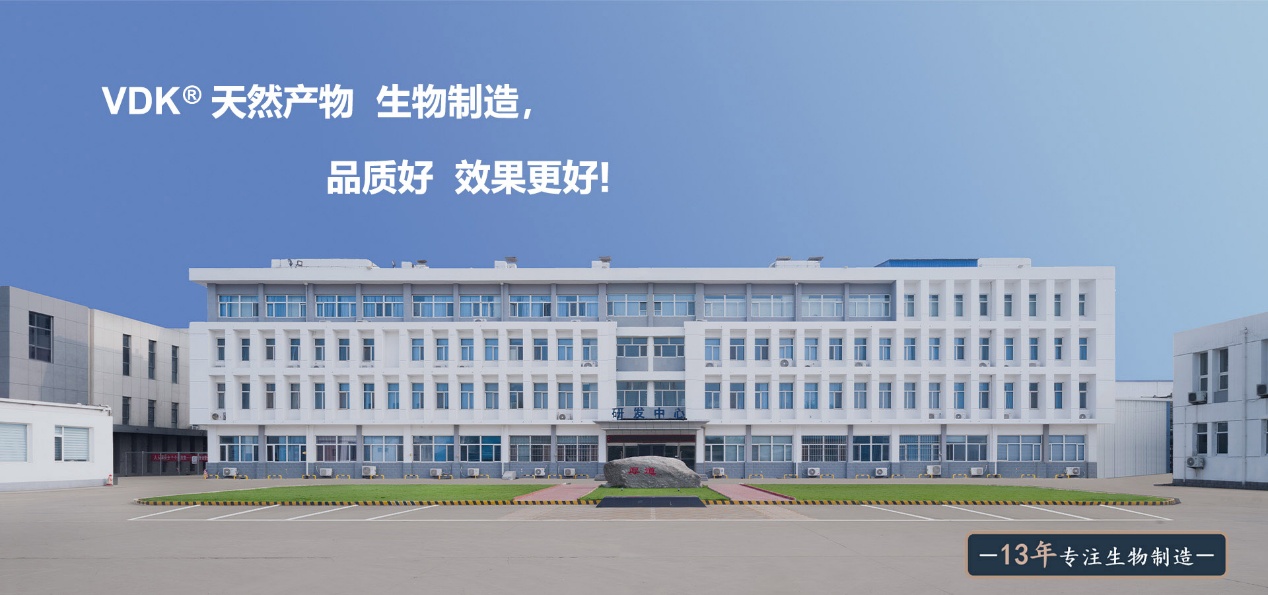 建筑的摆设布局
AI 生成的内容可能不正确。