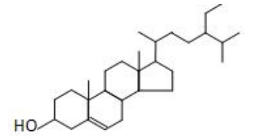 新食品原料,CFSA,種子オイル,ポリフェノール,テアニン,クロレラ,植物ステリン