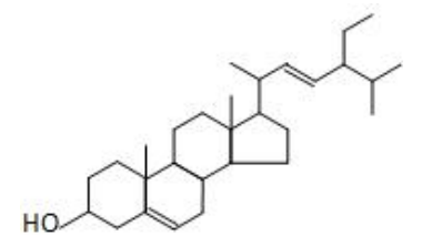 新食品原料,CFSA,種子オイル,ポリフェノール,テアニン,クロレラ,植物ステリン