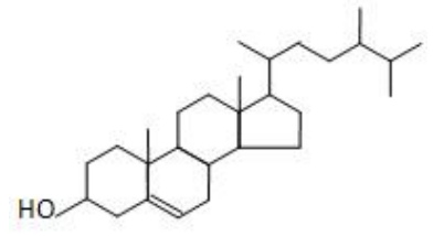 新食品原料,CFSA,種子オイル,ポリフェノール,テアニン,クロレラ,植物ステリン